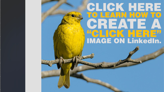 Clickable Image Links On Social Media how-to-do-a-reverse-image-search-on-iphone-a-step-by-step-guide